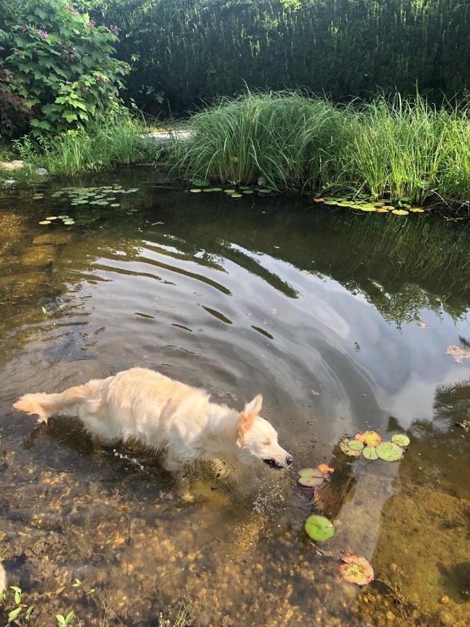 Millies Hosting - Familienurlaub Mit Hund In Kaernten Sankt Paul im Lavanttal Buitenkant foto