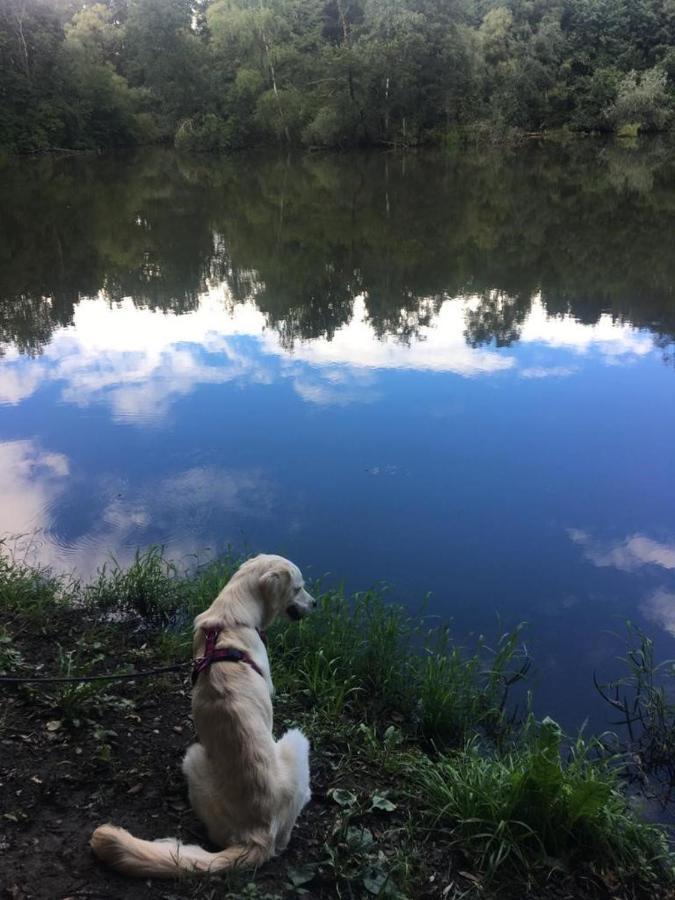 Millies Hosting - Familienurlaub Mit Hund In Kaernten Sankt Paul im Lavanttal Buitenkant foto