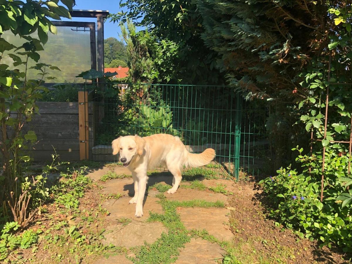 Millies Hosting - Familienurlaub Mit Hund In Kaernten Sankt Paul im Lavanttal Buitenkant foto