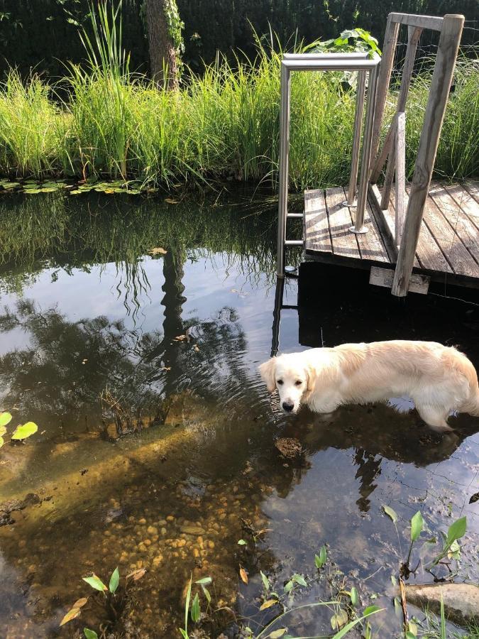 Millies Hosting - Familienurlaub Mit Hund In Kaernten Sankt Paul im Lavanttal Buitenkant foto