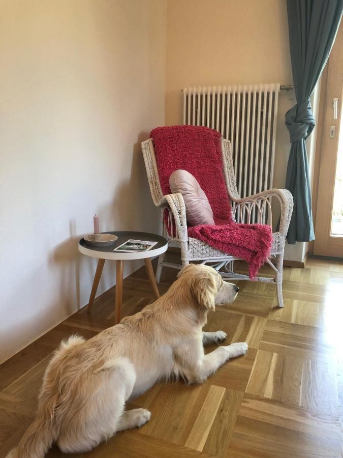 Millies Hosting - Familienurlaub Mit Hund In Kaernten Sankt Paul im Lavanttal Buitenkant foto