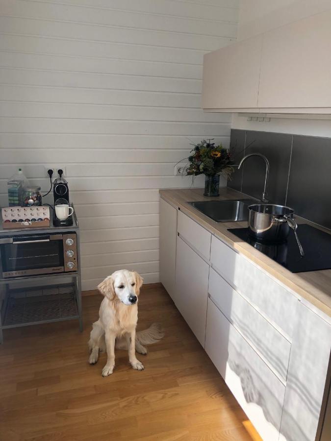 Millies Hosting - Familienurlaub Mit Hund In Kaernten Sankt Paul im Lavanttal Buitenkant foto