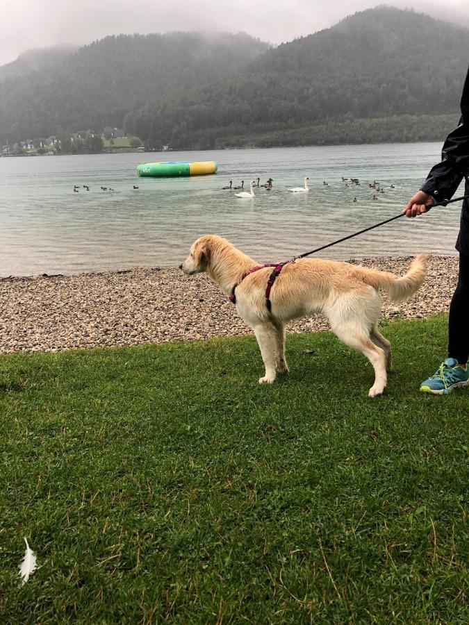 Millies Hosting - Familienurlaub Mit Hund In Kaernten Sankt Paul im Lavanttal Buitenkant foto