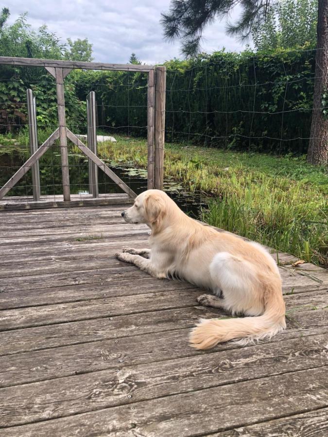 Millies Hosting - Familienurlaub Mit Hund In Kaernten Sankt Paul im Lavanttal Buitenkant foto