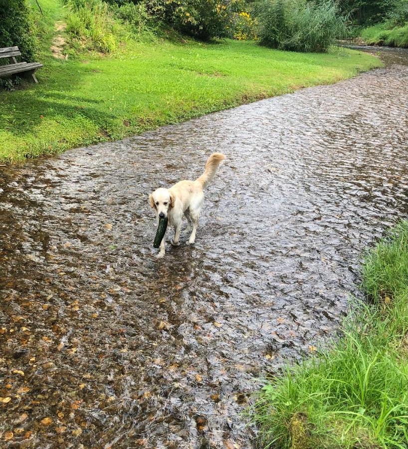Millies Hosting - Familienurlaub Mit Hund In Kaernten Sankt Paul im Lavanttal Buitenkant foto