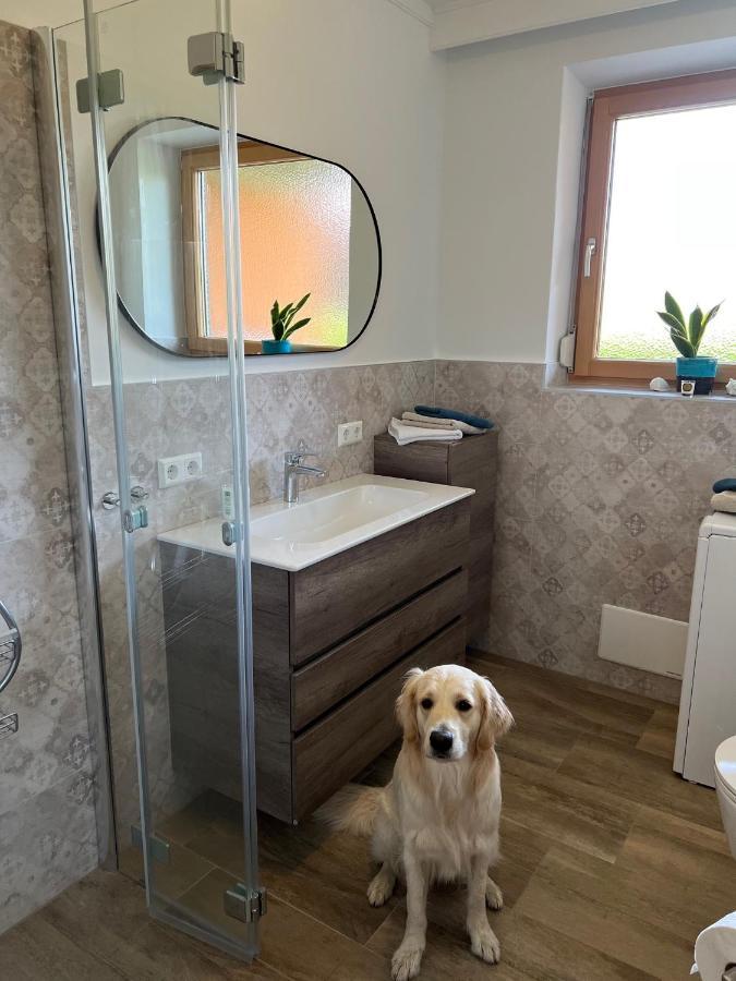 Millies Hosting - Familienurlaub Mit Hund In Kaernten Sankt Paul im Lavanttal Buitenkant foto